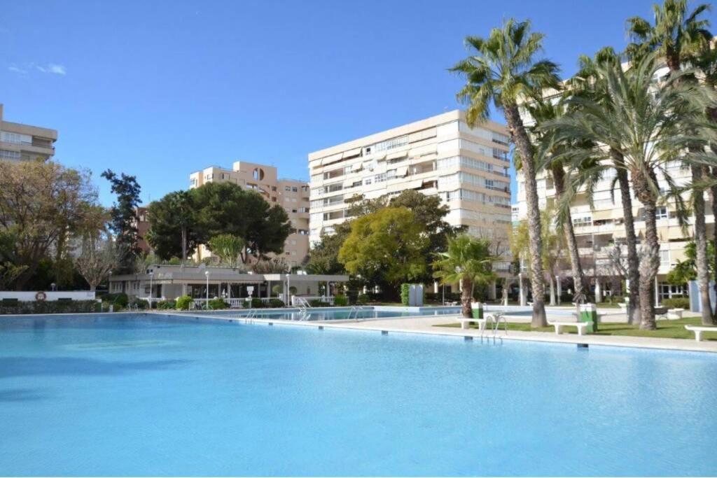 Garden Apartment With Pool And Ac Alicante Eksteriør billede